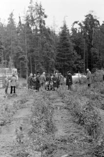 ARH NL Mellin 01-111/0002, Menschen auf einem Feld, ohne Datum