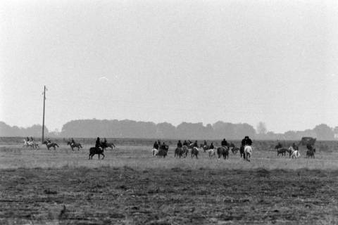 ARH NL Mellin 01-118/0013, Reitjagd(?), ohne Datum