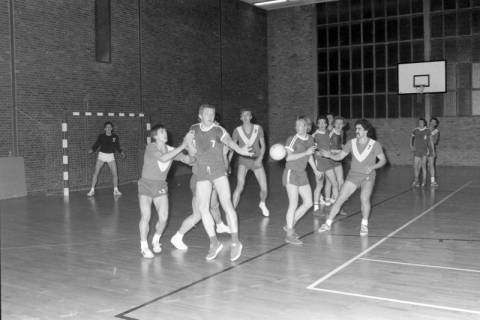 ARH NL Mellin 01-132/0003, Handballspiel in einer Turnhalle, ohne Datum