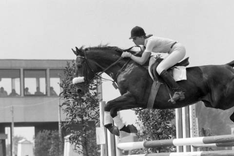 ARH NL Mellin 01-139/0010, Springturnier im Reiterstadion, Hannover-Vahrenheide, ohne Datum