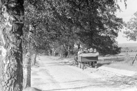 ARH NL Mellin 01-143/0001, Kutschfahrt in der Lüneburger Heide?, ohne Datum