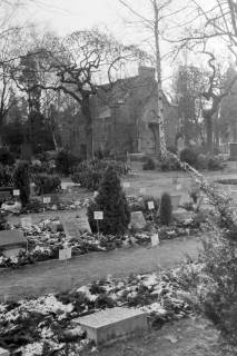 ARH NL Mellin 01-160/0005, Gräber auf einem Friedhof, ohne Datum