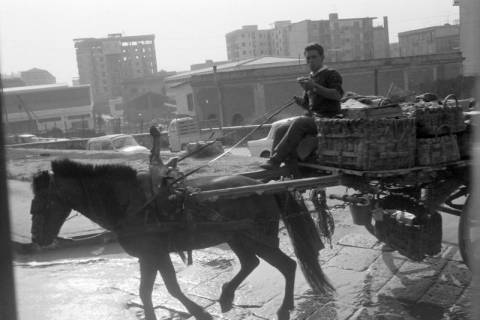 ARH NL Mellin 01-173/0017, Von einem Pferd gezogenes Fuhrwerk, ohne Datum