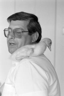 ARH NL Mellin 01-175/0001, Entenküken auf der Schulter eines Mannes, ohne Datum