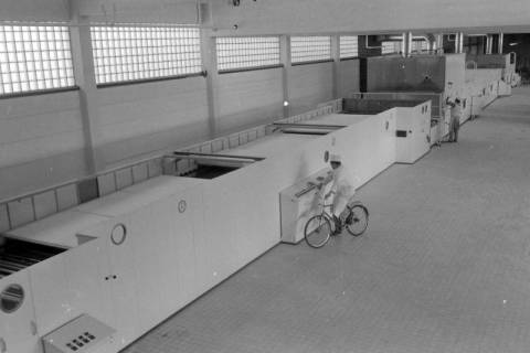 ARH NL Mellin 01-199/0005, Industriebäckerei?, ohne Datum