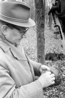 ARH NL Mellin 02-003/0016, Ein Mann untersucht ein Vogelnest, ohne Datum