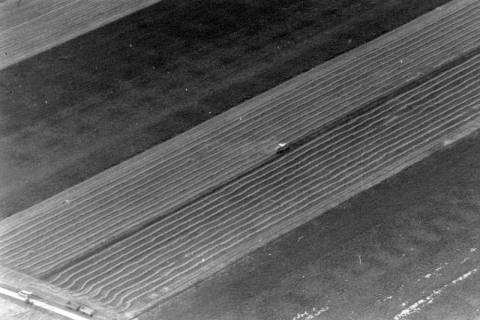 ARH NL Mellin 02-020/0022, Mähdrescher auf einem Feld, ohne Datum