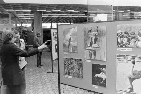 ARH NL Mellin 02-024/0009, Ausstellung von Vogel-Fotografien?, ohne Datum
