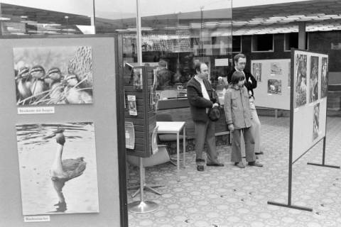 ARH NL Mellin 02-024/0010, Ausstellung von Vogel-Fotografien?, ohne Datum