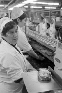 ARH NL Mellin 02-026/0019, Arbeiterinnen beim Füllen von Fischkonserven, ohne Datum