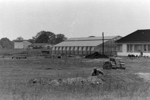 ARH NL Mellin 02-030/0003, Gärtnerei?, ohne Datum