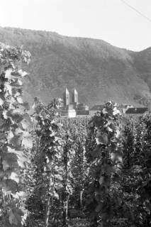ARH NL Mellin 02-032/0015, Blick durch ein Weinfeld auf die St. Salvator Kirche, Ernst, ohne Datum