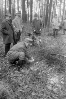 ARH NL Mellin 02-074/0010, Jäger mit Hund im Wald, ohne Datum