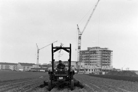 ARH NL Mellin 02-090/0011, Traktor beim Pflügen eines Feldes, im Hintergrund ein Neubaugebiet, Burgdorf, um 1970