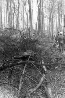 ARH NL Mellin 02-092/0017, Teilstück eines Flugzeugs im Wald nach der Verunglückung(?), ohne Datum