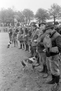 ARH NL Mellin 02-108/0004, In einer Reihe stehende Jagdhornbläser mit Falknern mit Raubvögeln zu beiden Seiten und zwei Jagdhunde, um 1975