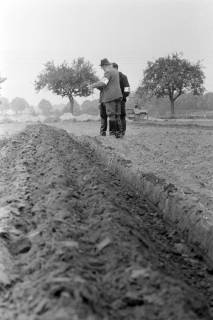 ARH NL Mellin 02-110/0001, Prüfer beim Leistungspflügen, um 1975