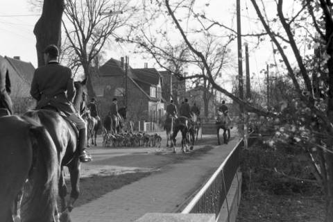 ARH NL Mellin 02-117/0014, Berittene Jagdgesellschaft mit Hundemeute (Beagle), Isernhagen NB, vor 1974