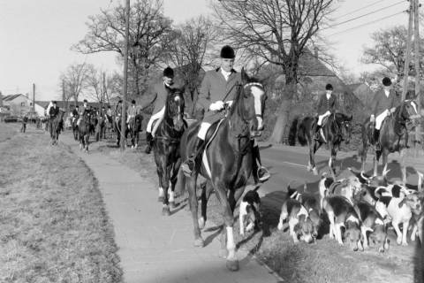 ARH NL Mellin 02-117/0015, Berittene Jagdgesellschaft mit Hundemeute (Beagle), Isernhagen NB, vor 1974