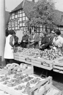 ARH NL Mellin 02-131/0009, Obststand auf einem Markt, Burgdorf, um 1975
