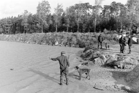 ARH NL Mellin 02-152/0010, Jäger bringt einem Jagdhund bei, einen Vogel aus einem See zu holen, ohne Datum