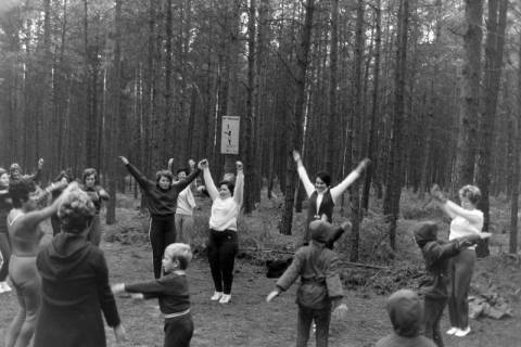 ARH NL Mellin 02-161/0014, Eröffnung(?) des Waldsportpfades Rundshorn, Wedemark, um 1975
