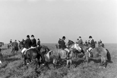 ARH NL Mellin 02-164/0015, Reitjagd(?), um 1975