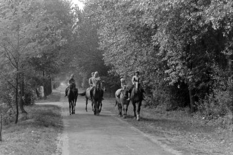 ARH NL Mellin 02-164/0019, Gruppe von Kindern bei einem Ausritt, um 1975