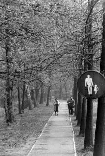 ARH NL Mellin 02-170/0024, Fußweg in einem Park, um 1975