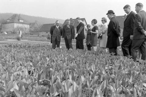 ARH NL Mellin 02-173/0016, Wilfried Hasselmann (Zweiter von links) zu einer Blumenschau am Essmannshof, Deckbergen, um 1970
