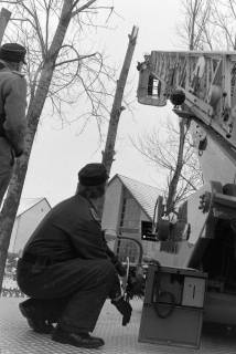 ARH NL Mellin 02-187/0005, Fällung von Bäumen an einer Straße, um 1970