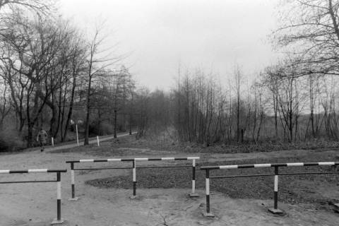 ARH NL Mellin 02-197/0011, Blick auf Fuß- und Radweg in der Natur, um 1970