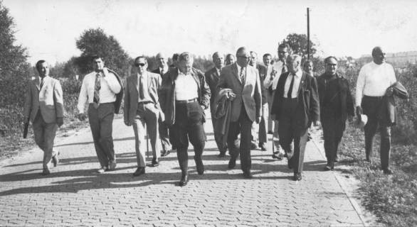 ARH Slg. Bartling 42, Moorstraße, Ortsbesichtigung durch den Rat, um 1975