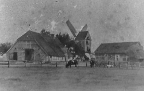 ARH Slg. Bartling 545, Bockwindmühle mit Mühlenhof, Dudensen, um 1970