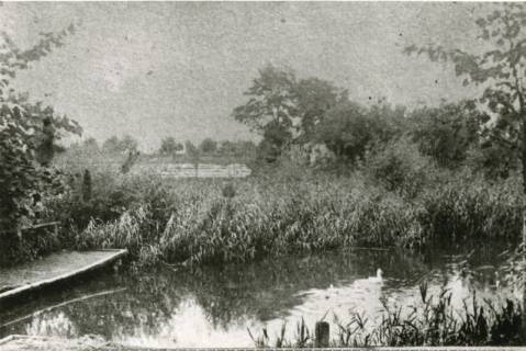 ARH Slg. Bartling 996, Leinepartie an der Steinkuhle, links ein Steg zum Wäschewaschen, dahinter die Bleiche mit aufgehängter Wäsche, Neustadt am Rübenberge, um 1900