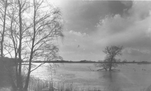ARH Slg. Bartling 1063, Leine-Hochwasser im Spätherbst, Blick vom östlichen Ufer nach Südwesten über das überschwemmte Flusstal, darin die Krone einer Eiche, Neustadt a. Rbge., um 1980