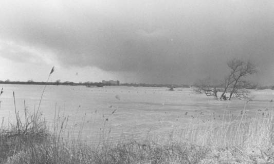 ARH Slg. Bartling 1064, Leine-Hochwasser im Spätherbst, Blick vom östlichen Ufer nach Südwesten über das überschwemmte Flusstal, darin die Krone einer Eiche, Neustadt a. Rbge., um 1980