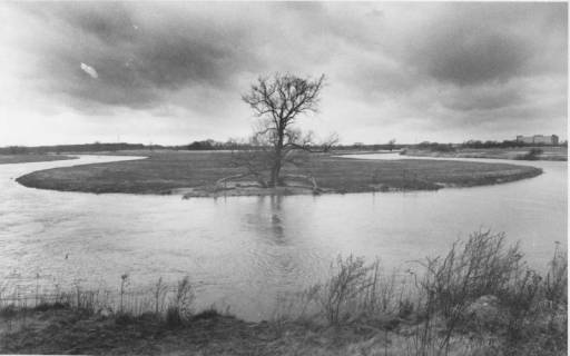 ARH Slg. Bartling 1067, Leinebogen im Spätherbst, Blick vom östlichen Ufer nach Nordwesten, Neustadt a. Rbge., um 1980