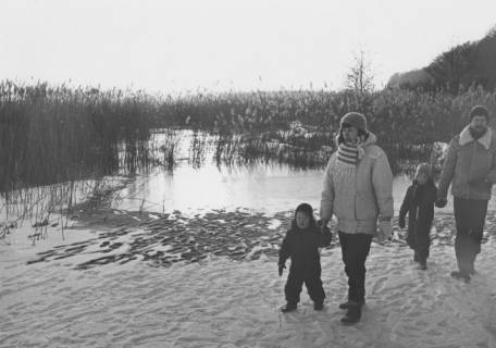 ARH Slg. Bartling 1127, Spaziergang einer jungen Familie mit zwei Kindern auf dem schneebedeckten Eis am reetbewachsenen Ufer des Sees, Steinhuder Meer, 1970
