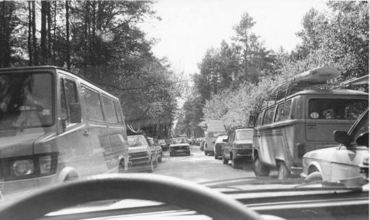 ARH Slg. Bartling 1156, Strandweg im Sommer, belebt von Autoverkehr zwischen zahlreichen parkenden PKWs an einem Sonntag, Steinhuder Meer, um 1980