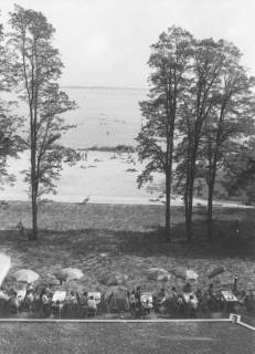 ARH Slg. Bartling 1171, Nordufer, Restaurant Weisse Düne, Blick vom Dach des Hotels auf die belebte Hotelterrasse, durch die Bäume auf den Strand und das Meer, Steinhuder Meer, vor 1980