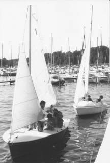 ARH Slg. Bartling 1176, Nordufer, zwei Segeljollen mit aufgeblähten Segeln beim Verlassen der Bootsanleger, Steinhuder Meer, um 1980