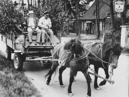 ARH Slg. Bartling 1190, Nordufer, Vatertagspartie mit einem Zweispänner und einem mit Maien geschmücktem Gummiwagen auf der Meerstraße in Höhe der Pension "Meeresblick", Steinhuder Meer, 1969