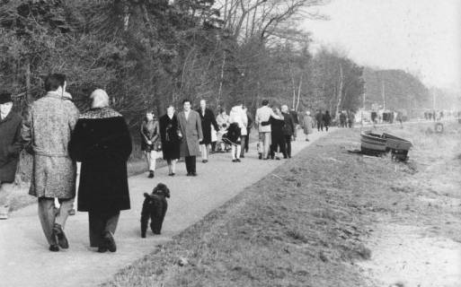 ARH Slg. Bartling 1199, Nordufer, zahlreiche Spaziergänger in winterlicher Kleidung auf dem Uferweg, Steinhuder Meer, um 1970