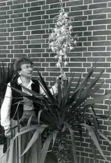 ARH Slg. Bartling 1542, Frau N.N. neben einer "rispig" blühenden Kerzen-Palmlilie Yucca Gloriosa, Bevensen, um 1975
