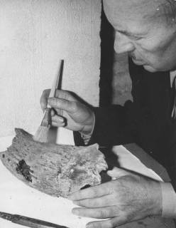 ARH Slg. Bartling 1709, Konrektor Wilhelm Canenbley vom Heimatbund Niedersachsen, Kreisgruppe Neustadt a. Rbge., säubert mit einem Pinsel einen urgeschichtlichen Knochen, Neustadt am Rübenberge, 1970