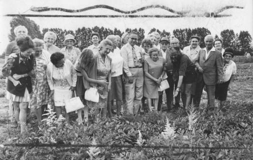 ARH Slg. Bartling 1869, Gruppe von Senioren auf einem Stück Land mit Blumenpflanzen, Neustadt a. Rbge., 1972