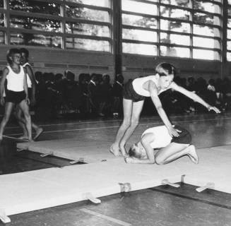ARH Slg. Bartling 2113, Kinder beim Bodenturnen in der Turnhalle Schneeren (?), Blick von der Hallenmitte über die Turner auf die an der Fensterwand sitzenden Zuschauer, Schneeren, 1969