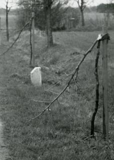 ARH Slg. Bartling 2168, Mutwillig abgeknickte junge Ostbäume an der Basser Straße (?), Basse, 1985