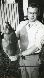 ARH Slg. Bartling 2228, Ein Mann präsentiert dem Fotografen einen Riesenkarpfen, Neustadt a. Rbge., 1971
